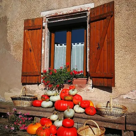 Couette-café La Maison Du Vannier Raon-les-Leau