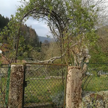 La Maison Du Vannier * Raon-les-Leau