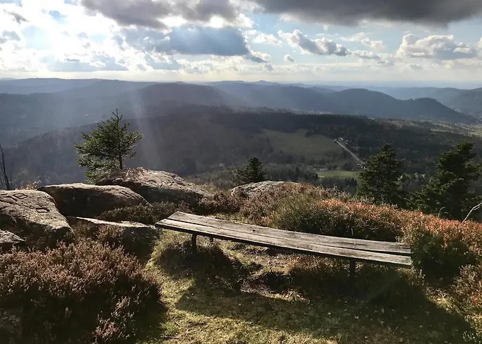 La Maison Du Vannier Raon-les-Leau