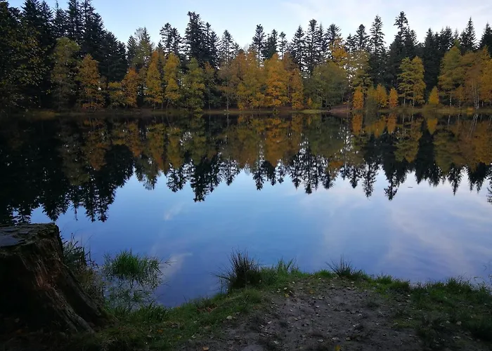 La Maison Du Vannier Raon-les-Leau