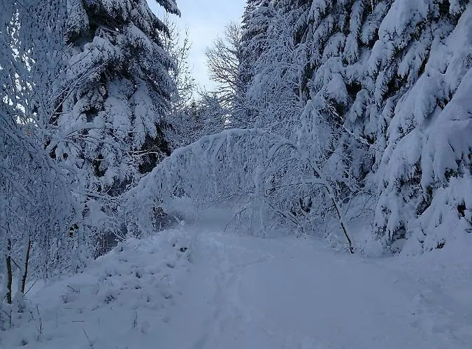 La Maison Du Vannier Отель типа 