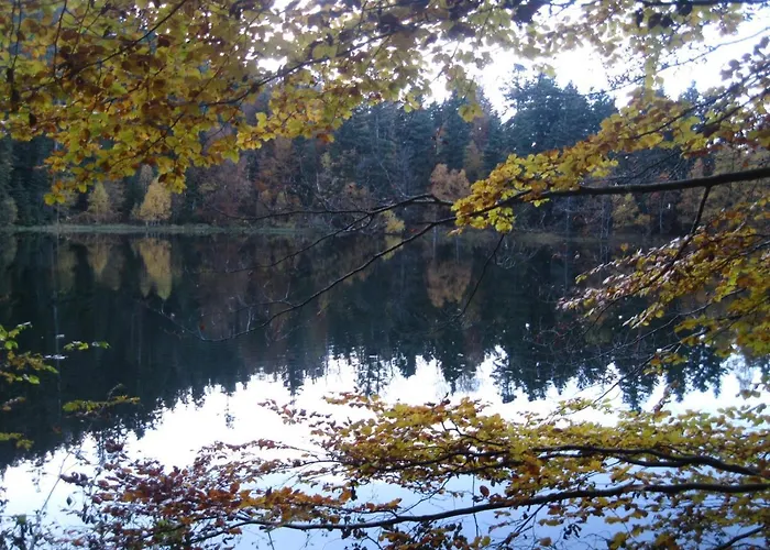 Alojamento de Acomodação e Pequeno-almoço La Maison Du Vannier 3*