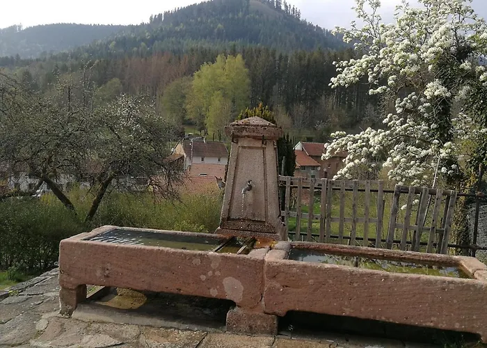 La Maison Du Vannier 3* Raon-les-Leau